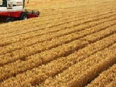 湖北提出“一芯驅(qū)動、兩帶支撐、三區(qū)協(xié)同”的區(qū)域和產(chǎn)業(yè)規(guī)劃布局