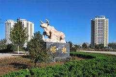 邢臺經(jīng)濟結(jié)構(gòu)轉(zhuǎn)型升級研究