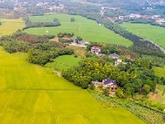 智慧園區規劃 | 產業園區該如何應對突發公共事件？