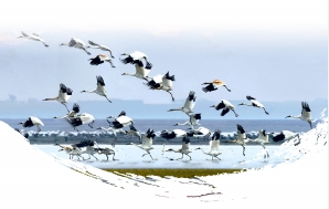 江西5個高新區(qū)將聯(lián)合建設(shè)鄱陽湖國家自主創(chuàng)新示范區(qū)