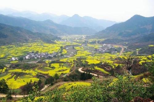 河南周口經濟開發區:砥礪奮進譜寫轉型高潮
