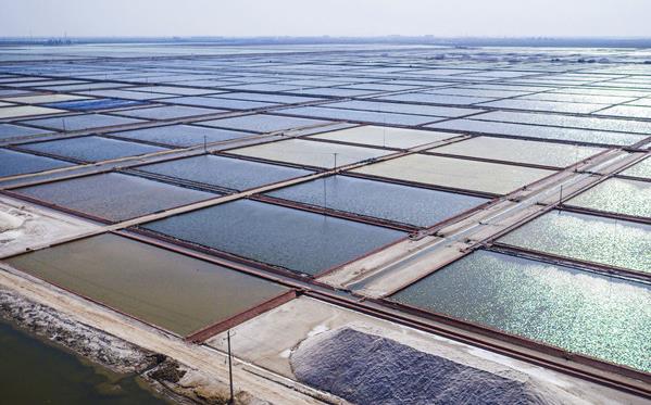 向海圖強 北海經濟開發區挖掘經略海洋"藍色寶藏"