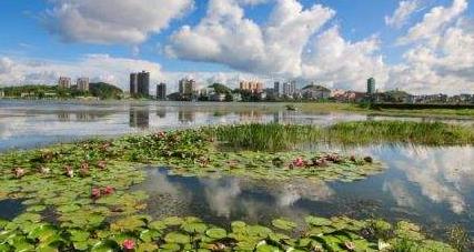 安順經開區:政策推動 產業帶動 鄉村旅游旺起來