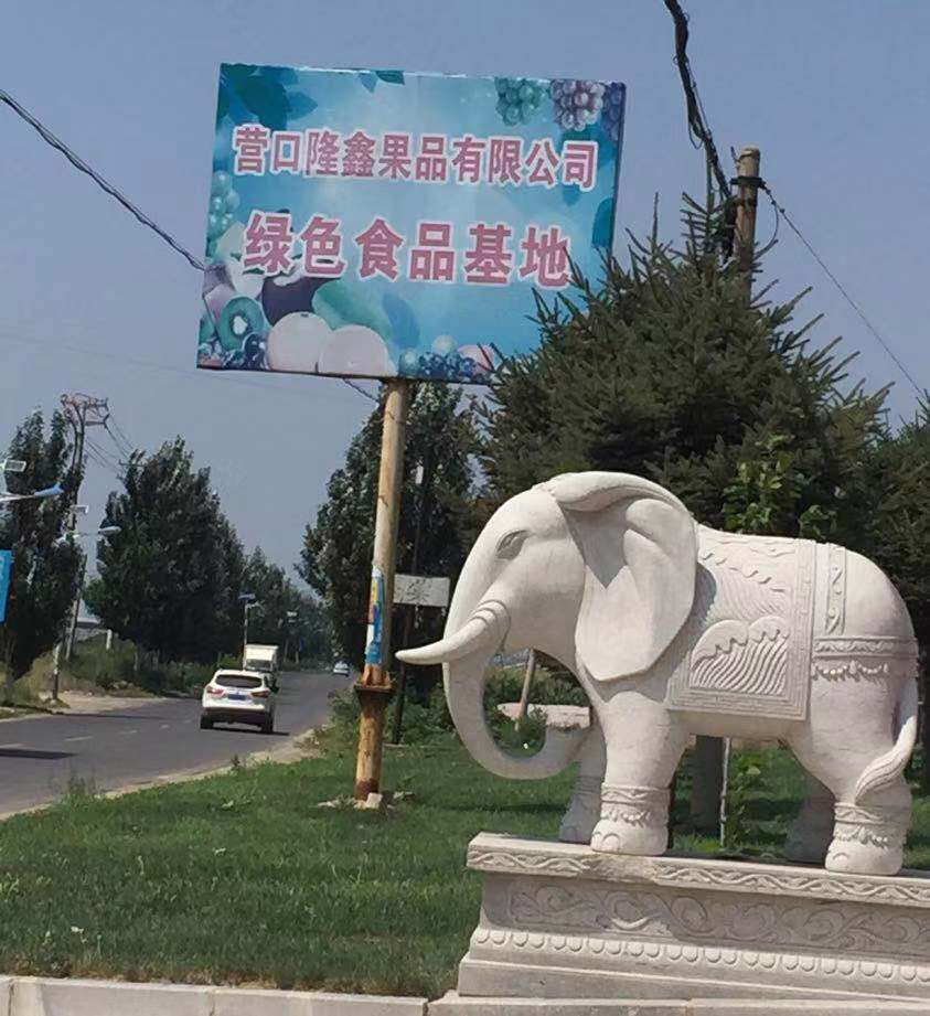 東北水果之鄉迎來發展新機遇，蓋州爭創省級現代農業產業園
