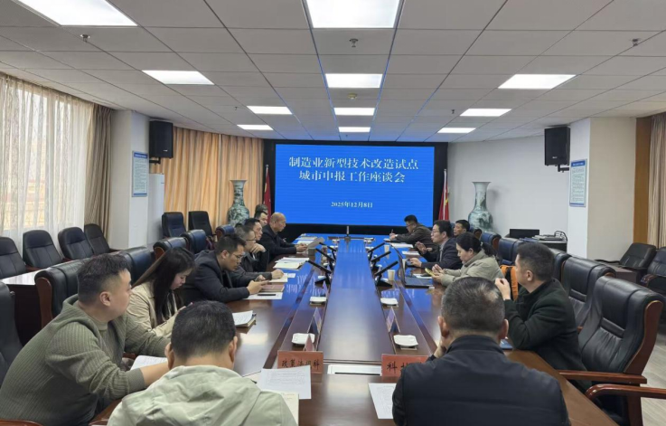 政策領(lǐng)航產(chǎn)業(yè)升級(jí)路徑 衡陽繪就制造業(yè)技改新藍(lán)圖 ——中國高新院項(xiàng)目組赴衡